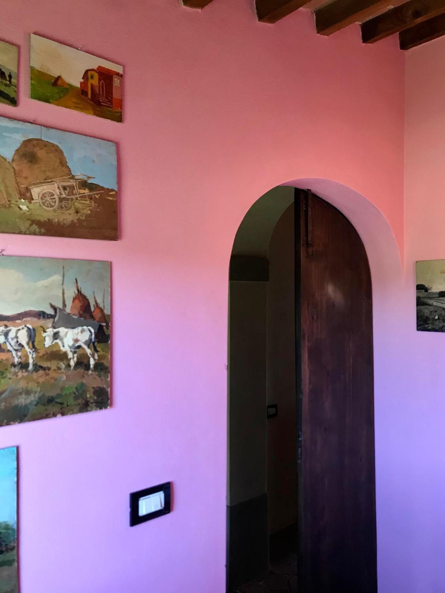 Agriturismo La Palazzina Palaia Cameră foto