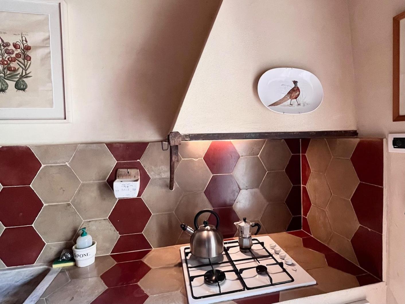 Agriturismo La Palazzina Palaia Cameră foto